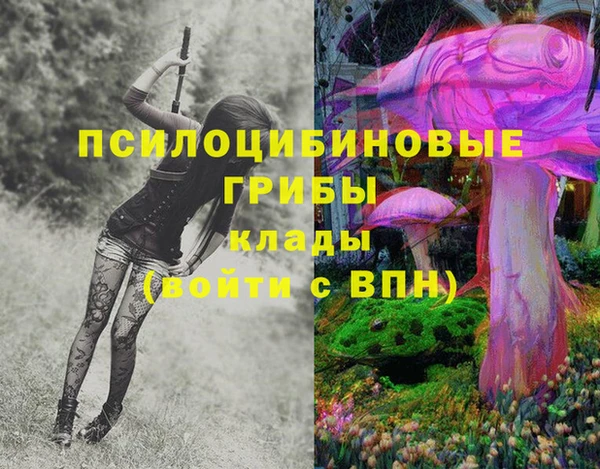 ПСИЛОЦИБИНОВЫЕ ГРИБЫ Абдулино