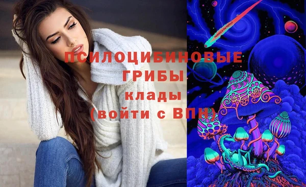 ПСИЛОЦИБИНОВЫЕ ГРИБЫ Абдулино