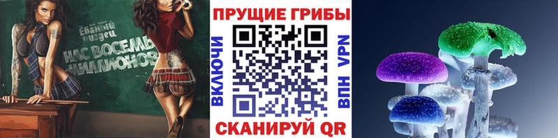 MEGA вход  закладки  Калачинск  Псилоцибиновые грибы мицелий 